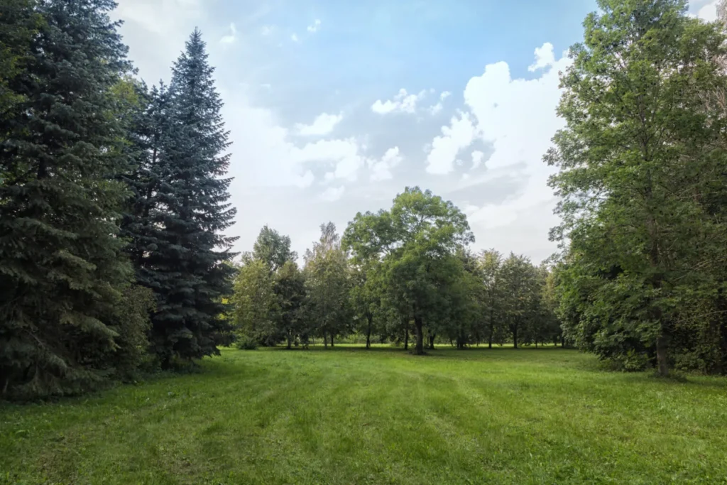 A J.W. York Homes project manager conducting a thorough site evaluation and land assessment on a client's private lot before beginning construction.