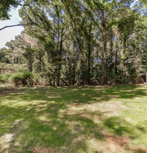 169 Vine Street - Back Yard
